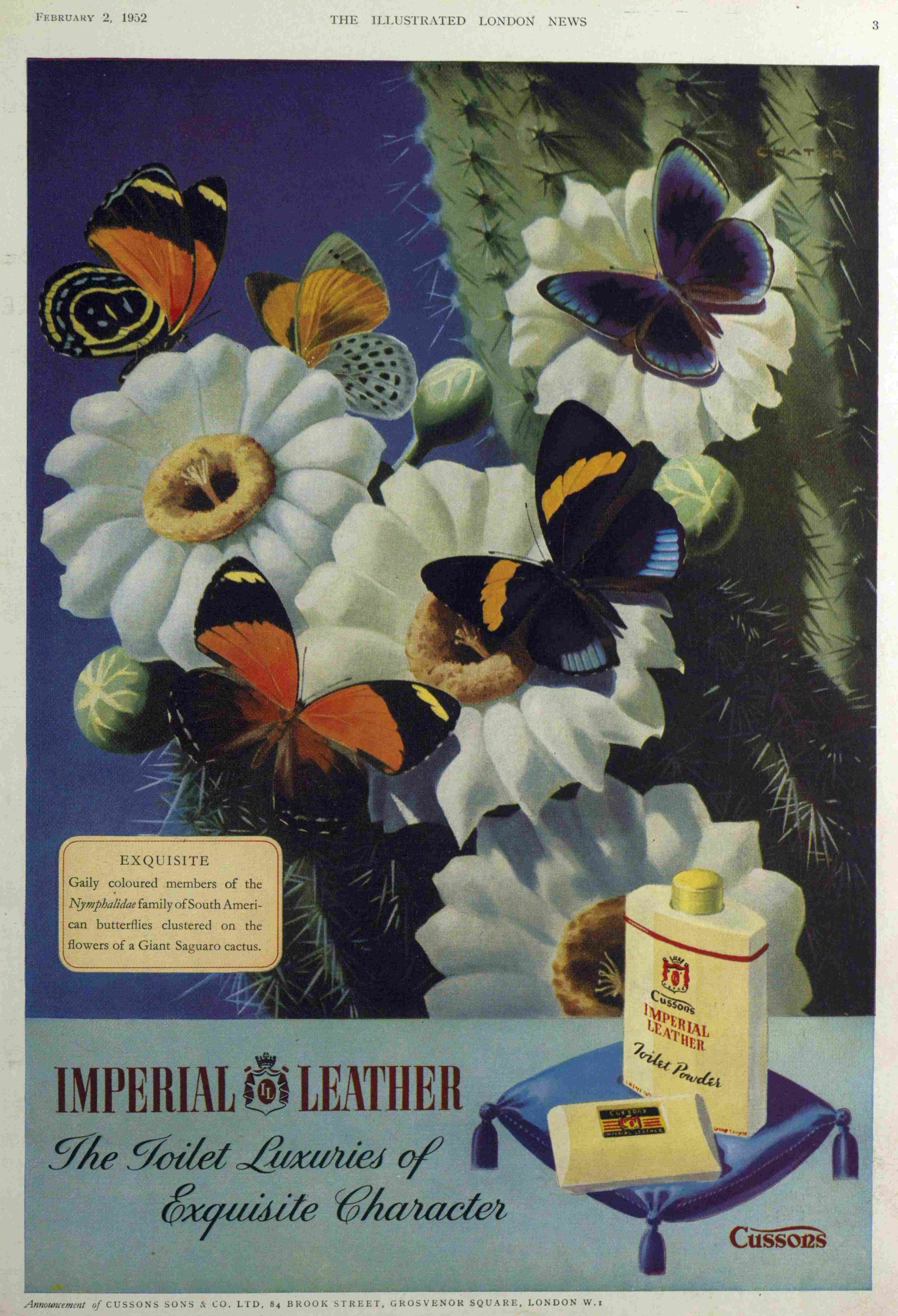 imperial leather butterflies advert